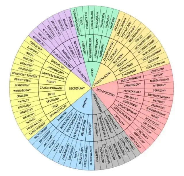 Czy uczucia rządzą człowiekiem? Przykłady emocji w literaturze