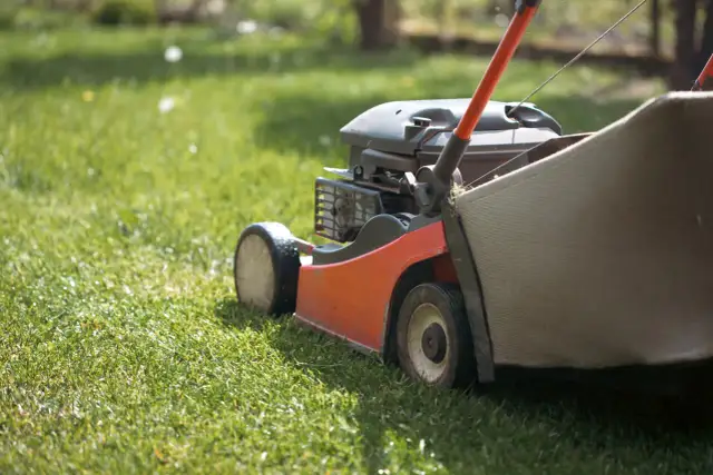 Moc kosiarki spalinowej: Jak wybrać idealną dla Twojego ogrodu?