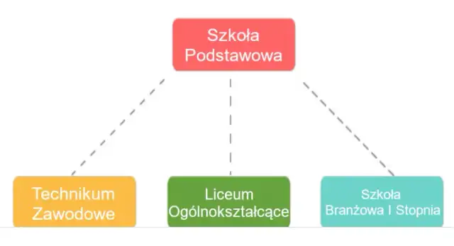 Jakie wykształcenie po liceum bez matury? Odkryj alternatywne ścieżki edukacyjne
