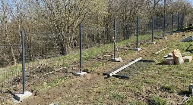 Jak precyzyjnie wyznaczyć poziom ogrodzenia? Poradnik eksperta