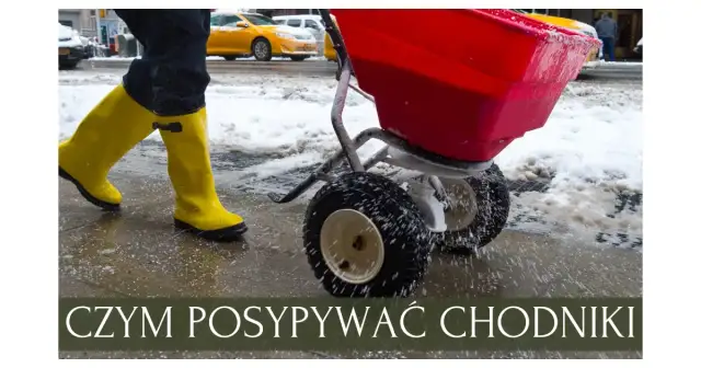 Co zamiast soli na chodnik? Ekologiczne alternatywy, które działają