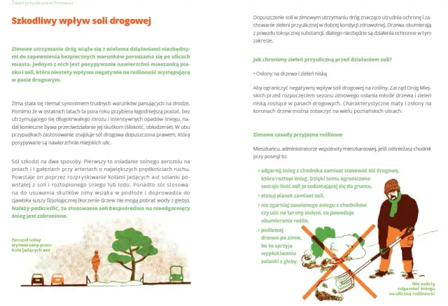 Czy można sypać solą chodniki? Sprawdź przepisy i zalecenia