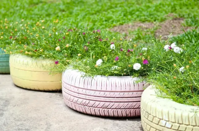 Jak zrobić skalniak z opon - proste kroki do ekologicznego ogrodu