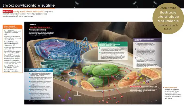 Biologia Villego czy Campbella - który podręcznik naprawdę się sprawdzi?