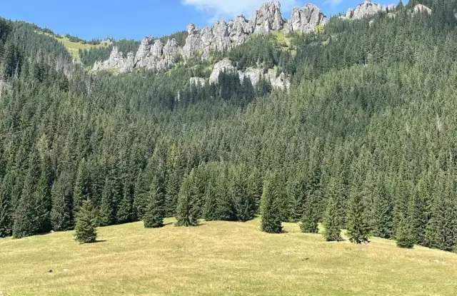 Siwa Polana i dolina Chochołowska: najłatwiejszy dojazd w Tatry