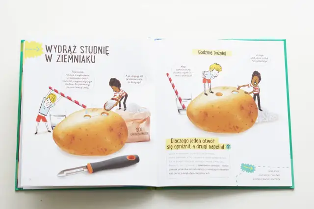 Ziemniak: 5 prostych eksperymentów dla dzieci. Nauka przez zabawę