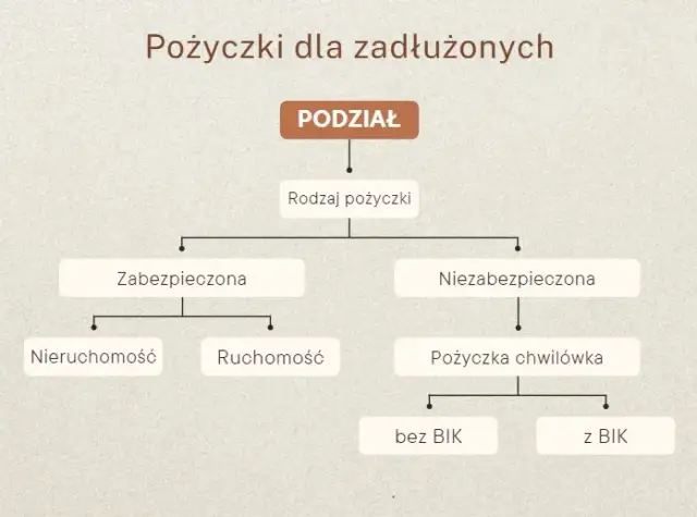 Kto daje pożyczki bez BIK i KRD? Sprawdź oferty dla zadłużonych