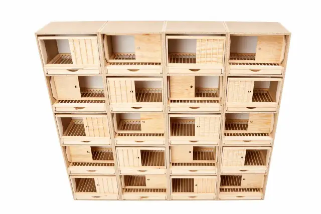 Cele lęgowe dla gołębi: Zbuduj idealne dla zdrowych lęgów!