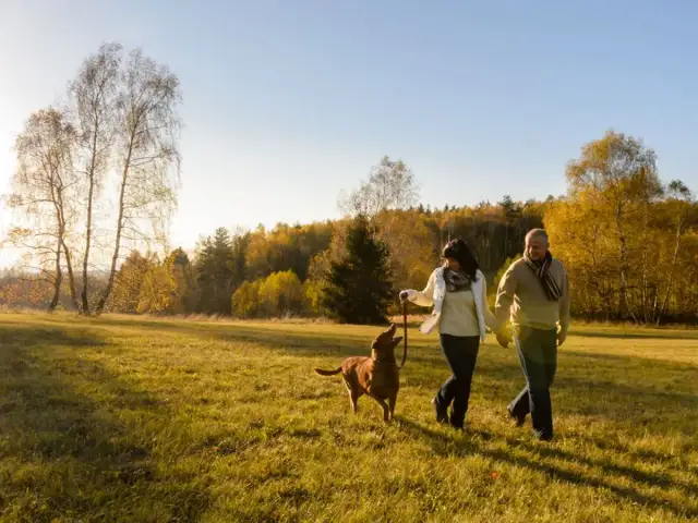 Para spaceruje z psem po jesiennej łące. To dobry przykład, jak często wyprowadzać szczeniaka na świeże powietrze.