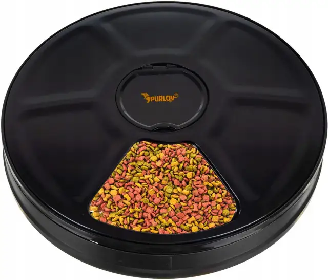 Jak zrobić dozownik suchej karmy dla psa, który zaoszczędzi Twój czas