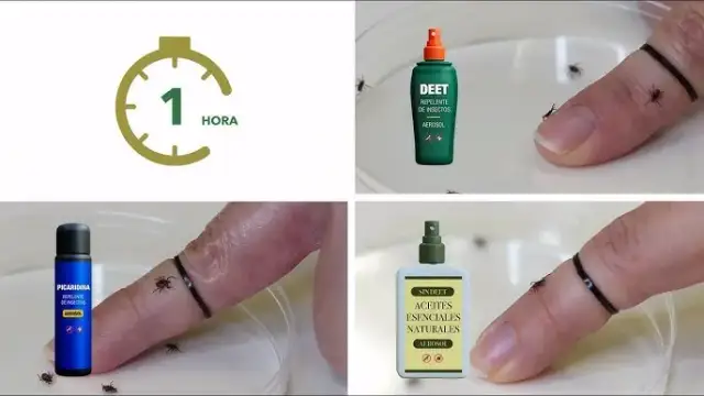 Con que fumigar garrapatas: métodos efectivos y productos seguros