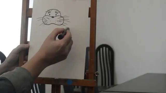 Jak narysować morsa łatwo i szybko - krok po kroku z poradami