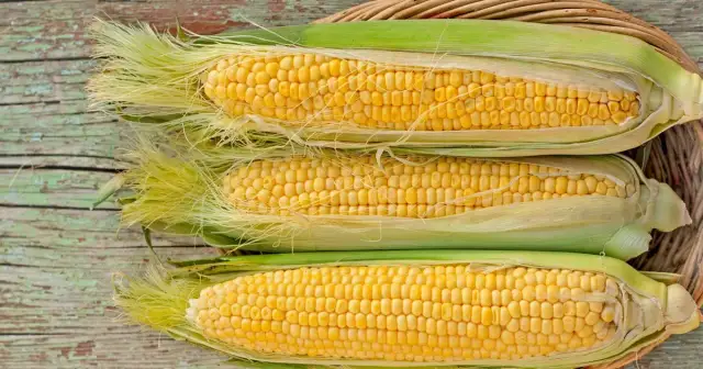 Czy można jeść kukurydzę karmiąc piersią? Bezpieczeństwo i porady dla mam