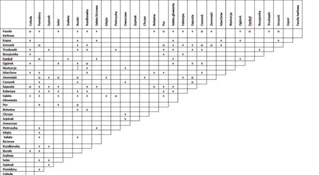 Dobre sąsiedztwo warzyw: Tabela, która zwiększy Twoje plony
