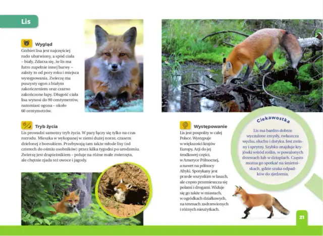 Zwierzę dla dziecka z autyzmem? Wybierz mądrze! Poradnik Macieja Jabłońskiego