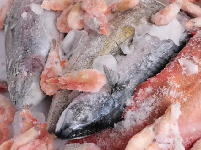 Czy ryba to owoc morza? Odkryj zaskakujące różnice i fakty