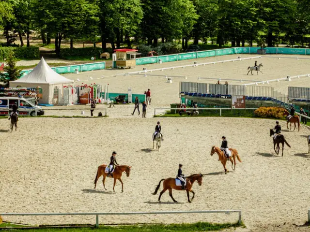 Stadnina koni Bogusławice – odkryj historię i atrakcje jeździeckie