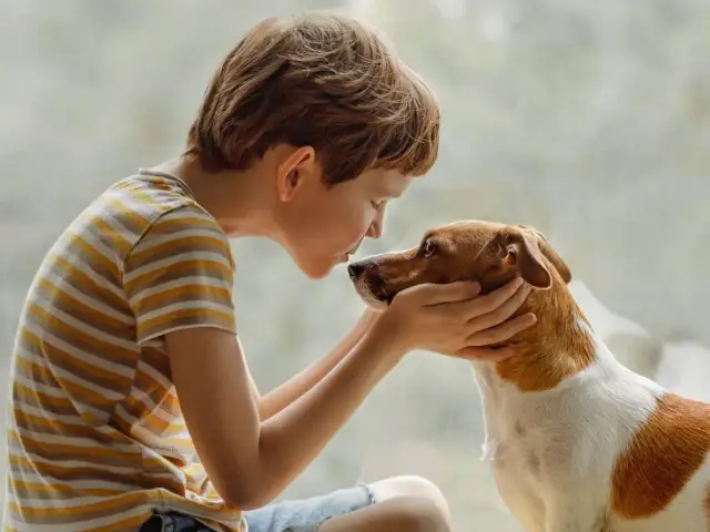 Jaki pies dla dzieci? Wybierz idealnego przyjaciela rodziny!