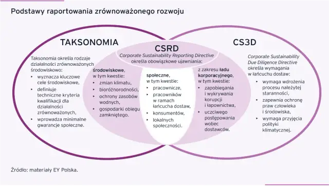 Raport zrównoważonego rozwoju: Kluczowe informacje i przykłady firm