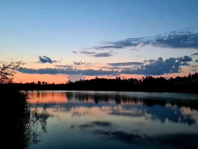 Dzika Woda sportowe łowisko karpiowe - idealne miejsce na wędkowanie