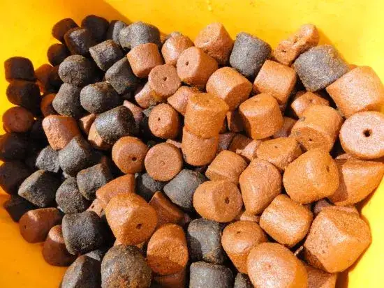 Zanęta halibut na jakie ryby jest skuteczna? Sprawdź najlepsze opcje