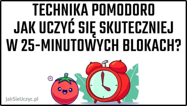 Efektywna nauka: Zrozum mózg, zapamiętuj szybciej, oszczędzaj czas