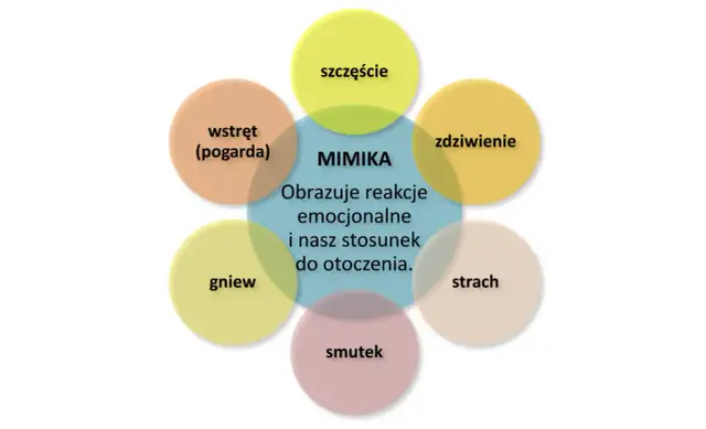 Komunii czy komuni? Rozwiej wątpliwości i pisz bezbłędnie!