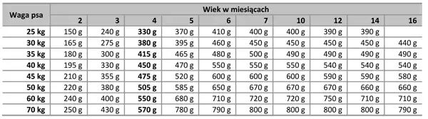 Jak wiek psa wpływa na to, ile powinien jeść szczeniak? Zobacz tabelę!