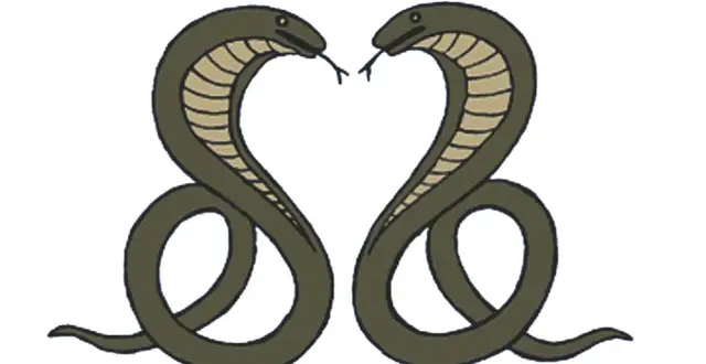 Dwa węże, jakby mówiące "dzień dobry jestem z kobry", tworzą serce.