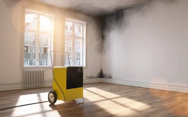 Jak osuszyć mieszkanie domowym sposobem i uniknąć wilgoci na zawsze