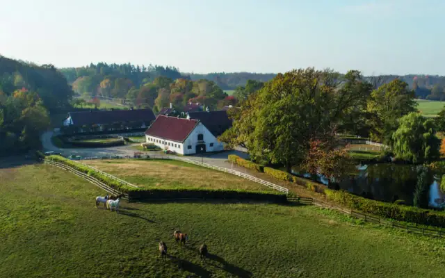 Stadniny na sprzedaż - idealne miejsce dla miłośników koni i przyrody