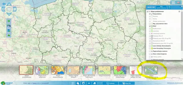 Zanocuj w lesie: Legalne biwakowanie i zasady programu „Zanocuj w lesie”