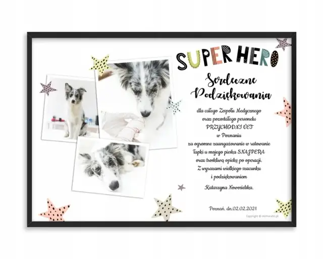 Jak napisać podziękowanie dla weterynarza, które wzruszy i doceni jego pracę