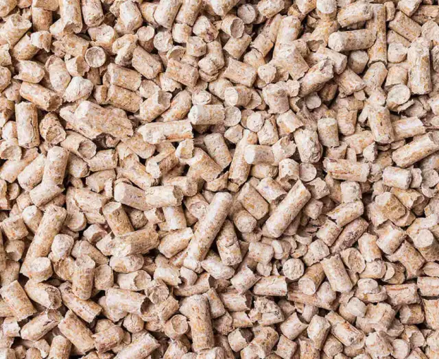 Jak wygląda dobry pellet? Rozpoznaj jakość na oko i testem!