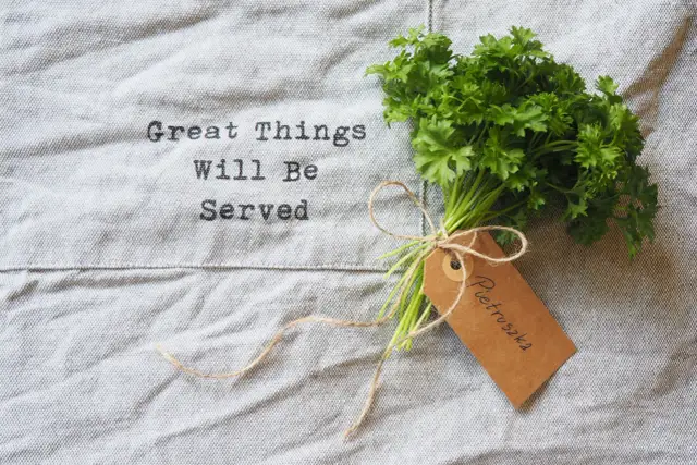 Czy pies może jeść natkę pietruszki? Sprawdź, co musisz wiedzieć