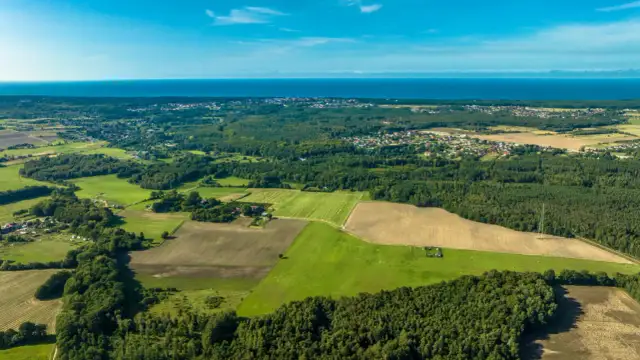 Jak podzielić działkę współwłasność - uniknij problemów prawnych i kosztów