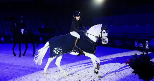 Torwar jeździectwo: Najważniejsze wydarzenia i emocjonujące zawody