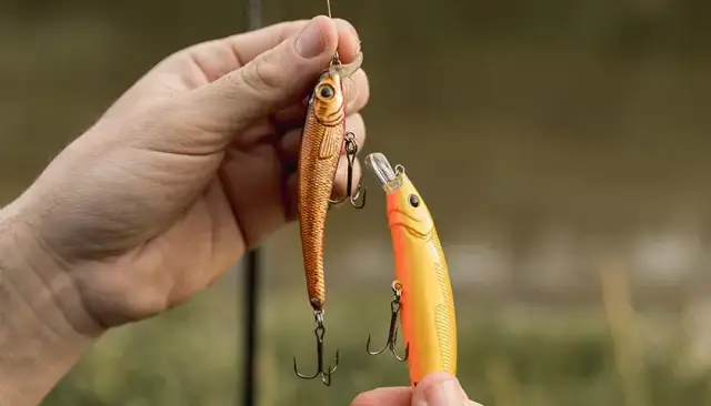 Przynęty pływające na karpia: Klucz do sukcesu w trudnych warunkach