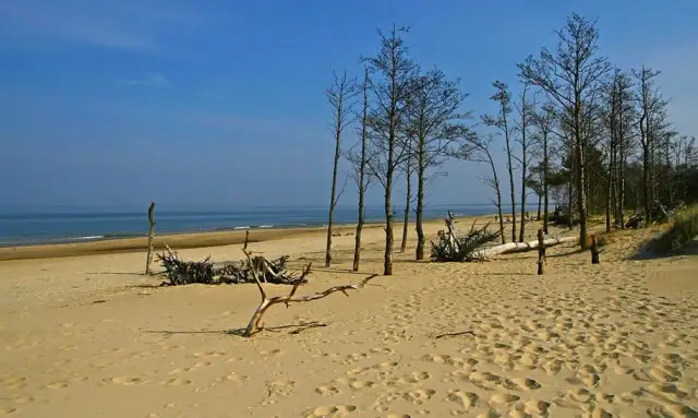 Rezerwaty przyrody w Gdańsku: co warto zobaczyć i jak uniknąć błędów podczas zwiedzania