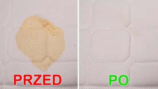 Jak wyczyścić materac z moczu kota i pozbyć się nieprzyjemnych zapachów