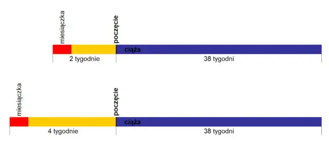 Ciąża: 40 tygodni czy 9 miesięcy? Odkryj prawdę i termin porodu!