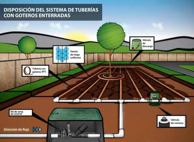 Esquema instalación riego por goteo: evita errores comunes y ahorra agua