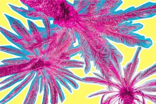 Kolory pop art: Odkryj ich znaczenie i zastosowanie w sztuce