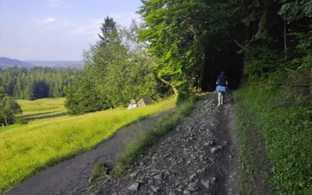 Bacówka pod Reglami w Kościelisku: Jak zaplanować idealną wizytę?