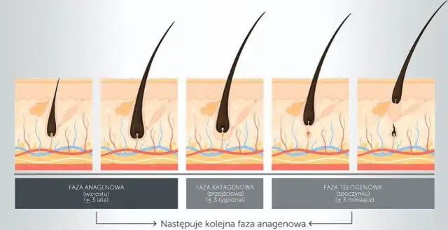 Jak długo depilacja woskiem? Przedłuż efekty do 8 tygodni!