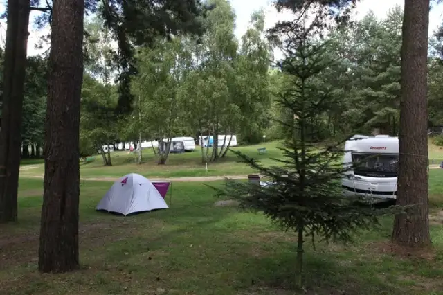 Pola namiotowe Lubuskie: Gdzie nad jezioro? Przewodnik 2024