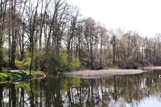 Jezioro Lucieńskie – idealne miejsce na relaks i wędkowanie w naturze