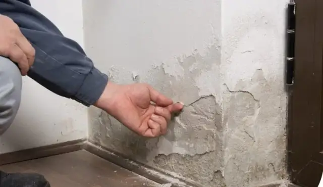 Wilgoć na ścianach od wewnątrz: Skuteczne metody usuwania i zapobiegania