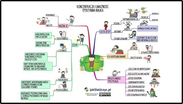 Popraw koncentrację: Sprawdzone metody, ćwiczenia i porady