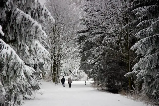 Ile śniegu w górach? Sprawdź aktualne warunki narciarskie!